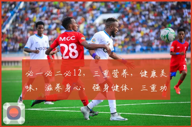 必一必二必12，三重营养，健康美味，滋养身心，强身健体，三重功效，一网打尽