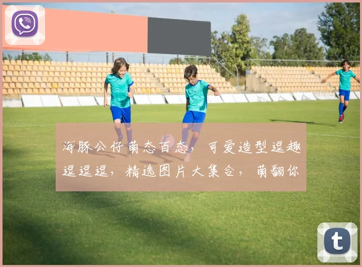 海豚公仔萌态百态，可爱造型逗趣逗逗逗，精选图片大集合，萌翻你的心
